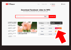 How to download Facebook video to MP3 for free