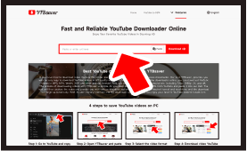 Step 2: Open YTBsaver and paste the video link