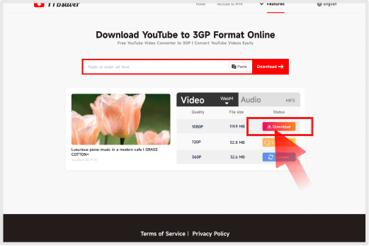 Step 3: Download YT to WebM